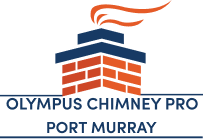 Olympus Chimney Pro